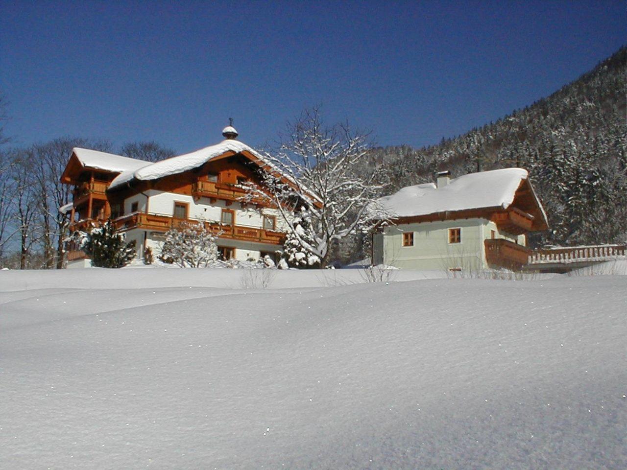 Haus Hirschpoint Otel Faistenau Dış mekan fotoğraf
