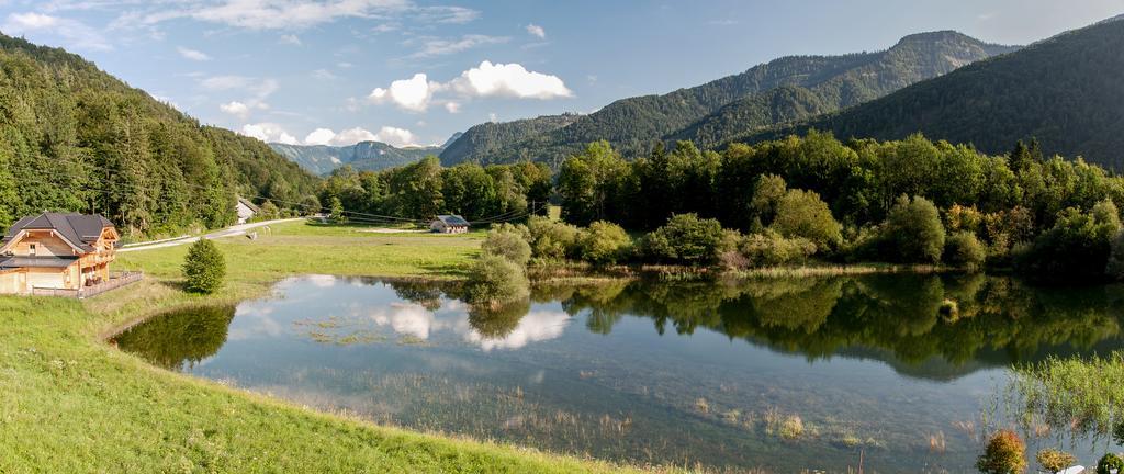 Haus Hirschpoint Otel Faistenau Dış mekan fotoğraf